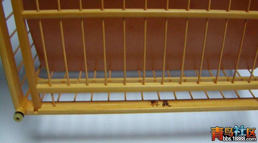 P1010015.jpg