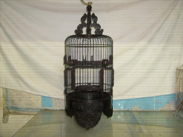 S6300270.JPG