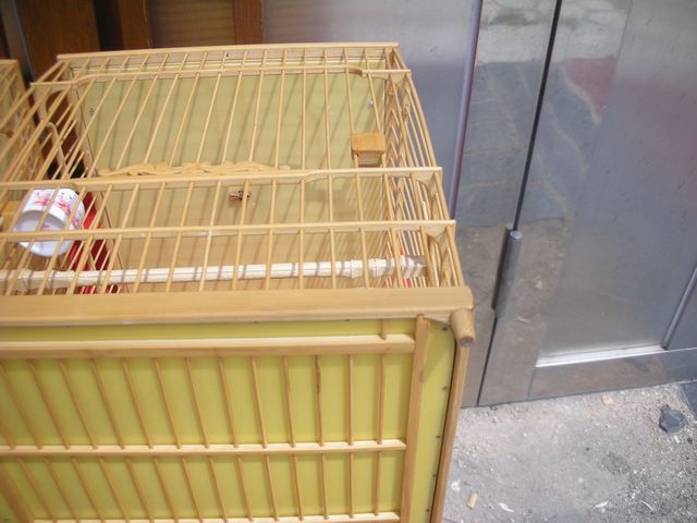 大明 笼 (11).JPG