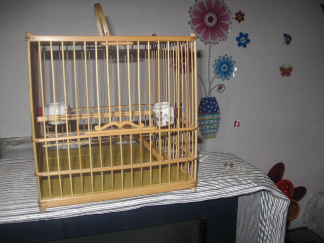 照片 480.jpg