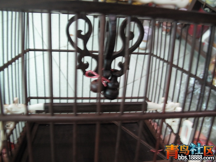 照片 100_调整大小.jpg