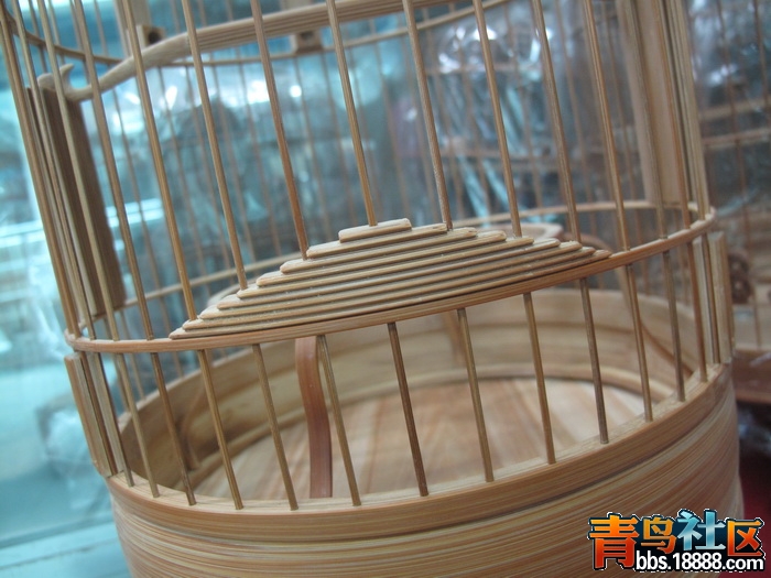 照片 399_调整大小.jpg