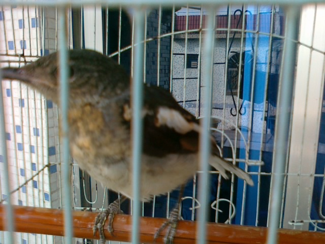 20120601452.jpg