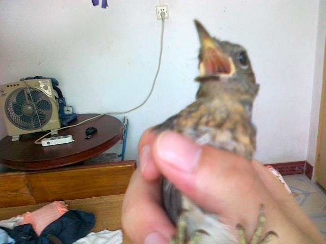 20120601449.jpg