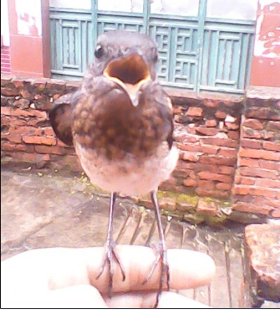 03.jpg