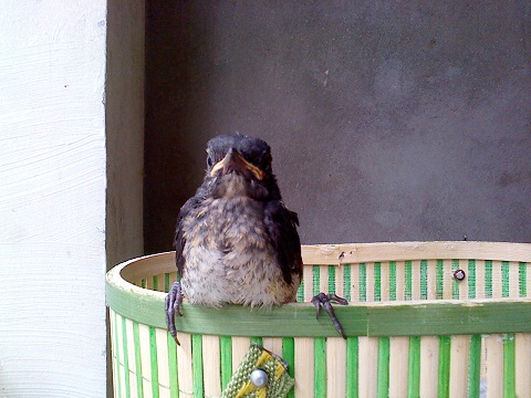 IMG0615143400.jpg