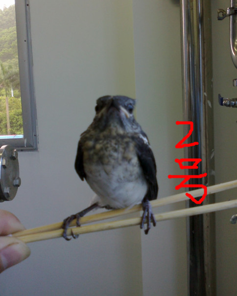 20120630765_副本.jpg