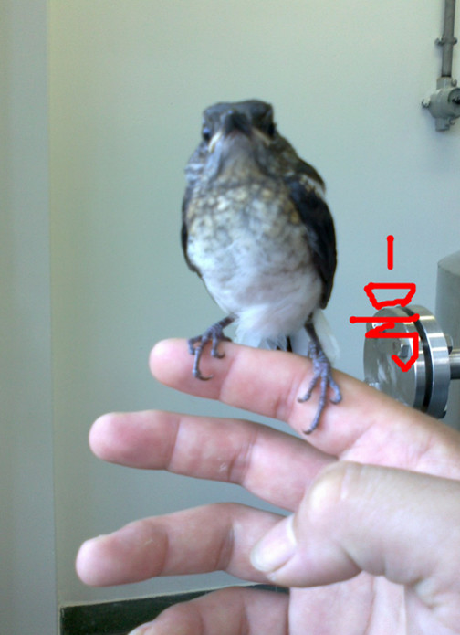 20120630758_副本.jpg
