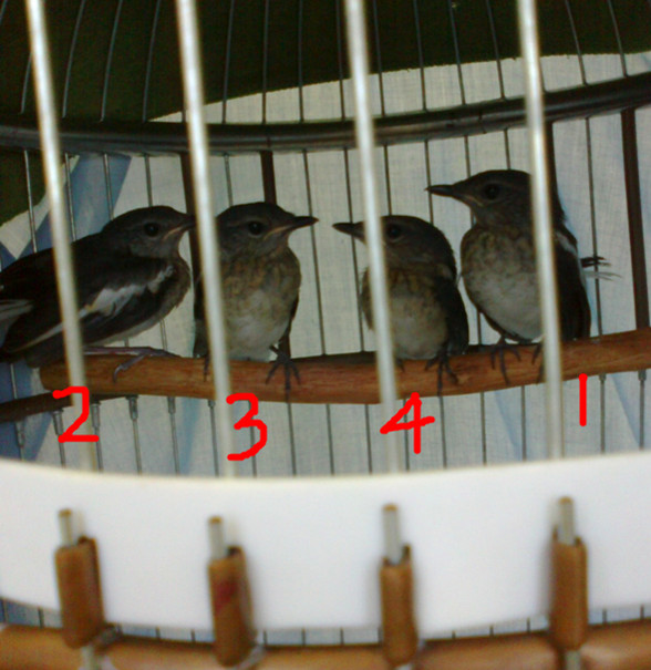 20120630789_副本.jpg