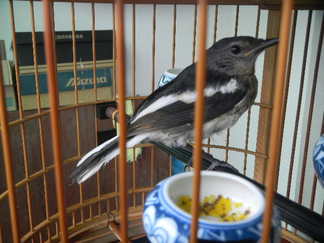 DSCN1017.JPG