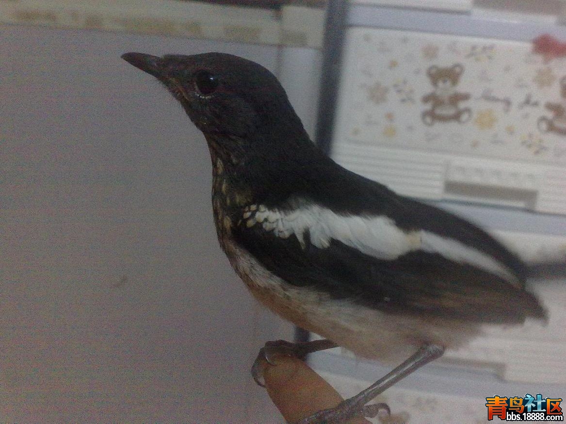 20120602067.JPG