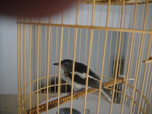 DSC02288.JPG