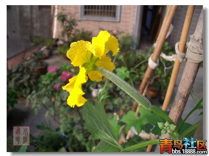 DSCF8075.jpg