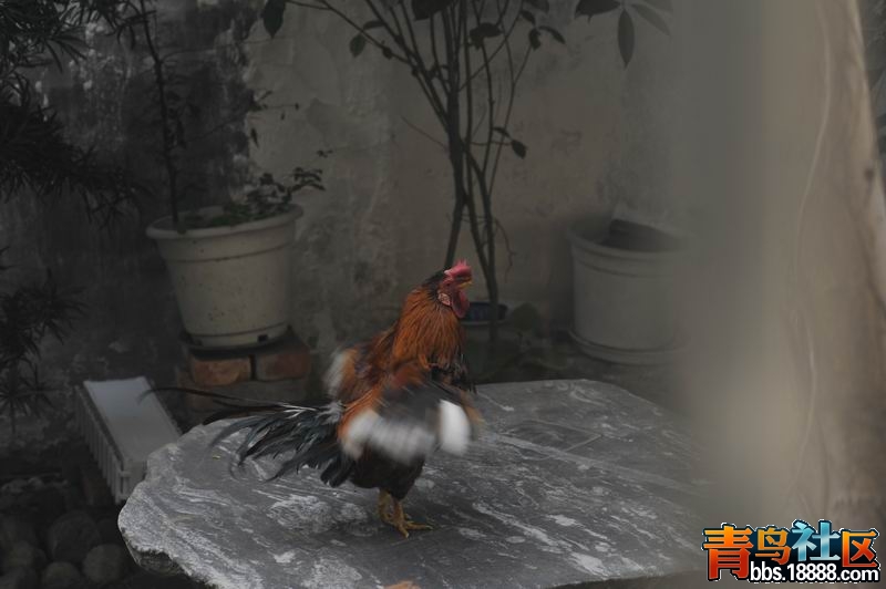 调整大小 照片--14 043.jpg