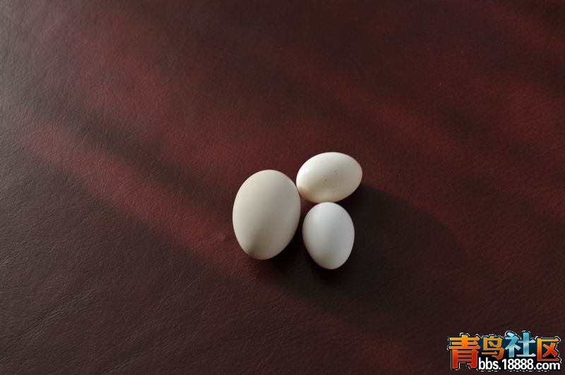 调整大小 照片--19 008.jpg