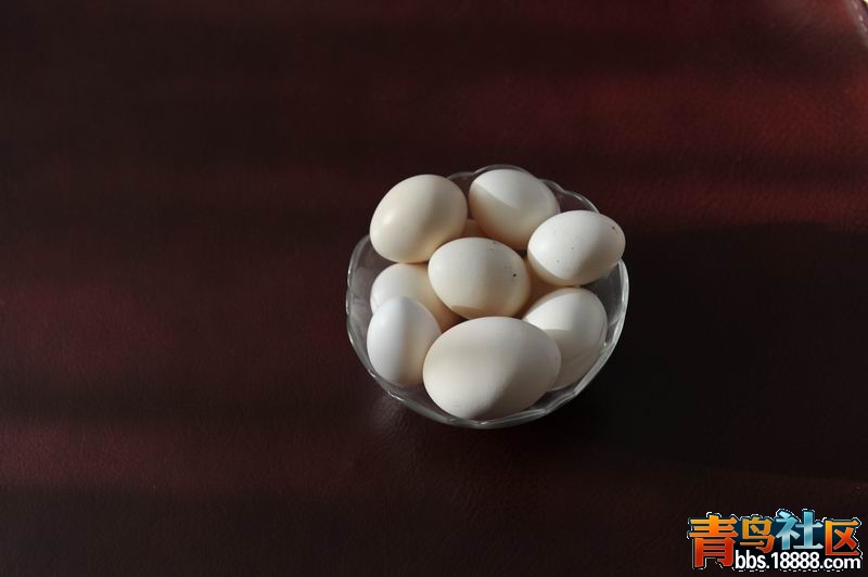 调整大小 照片--19 007.jpg