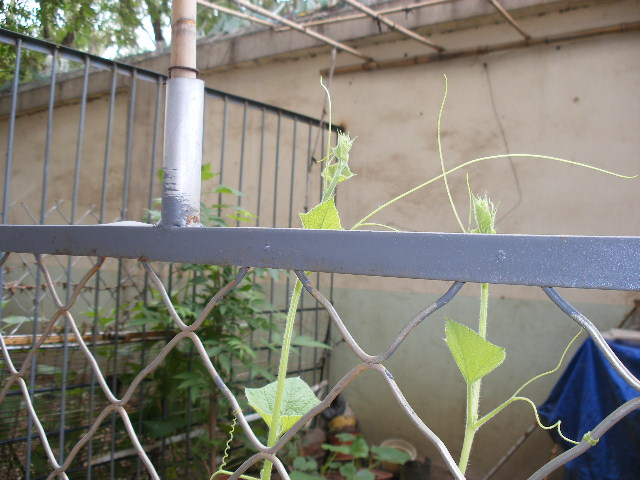 DSCF8917.JPG