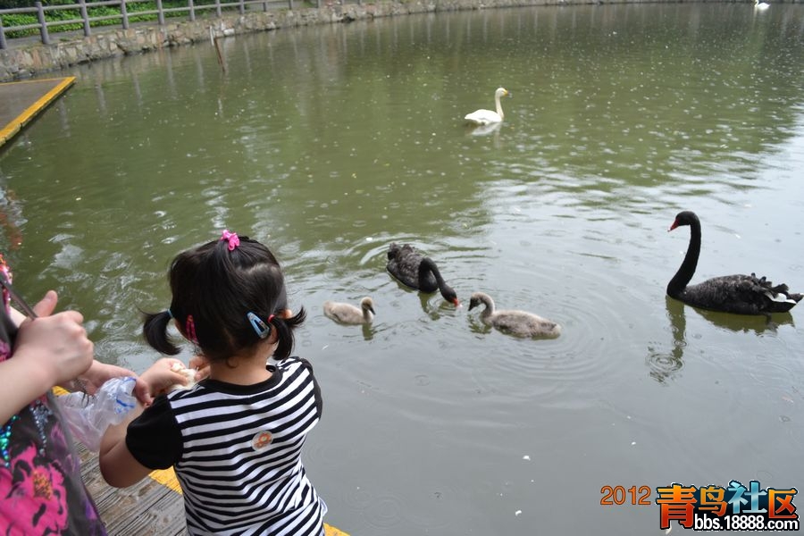 nEO_IMG_DSC_0636.jpg