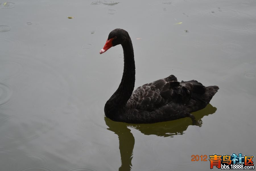 nEO_IMG_DSC_0624.jpg