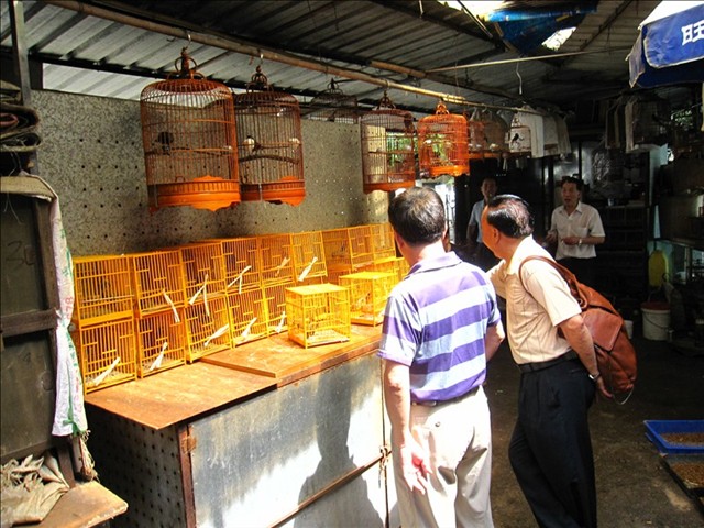 IMG_9760.JPG