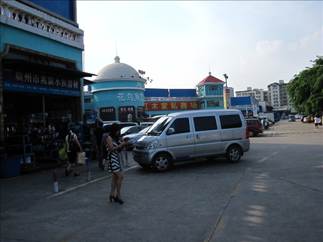 IMG_9465.JPG