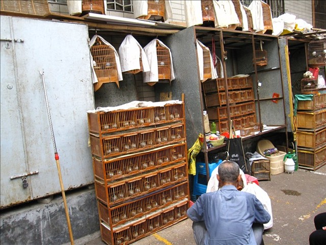 IMG_9764.JPG