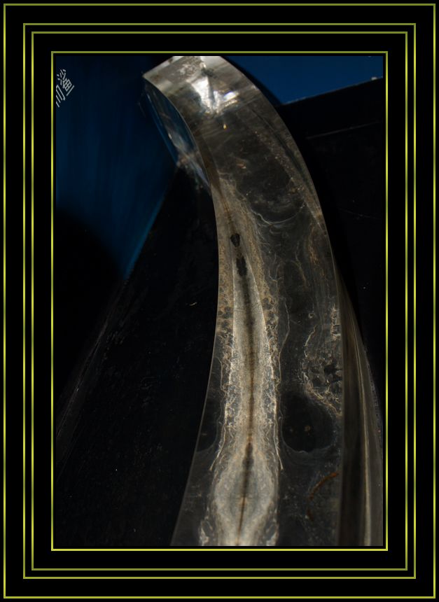 DSC00685.JPG