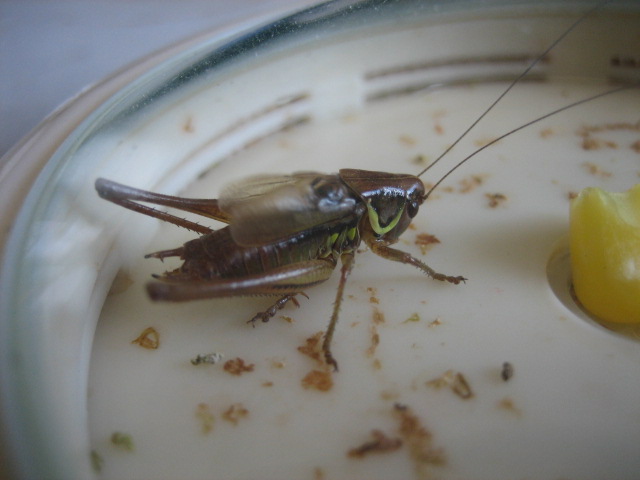 june 14,2012 030.jpg