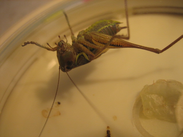 june 14,2012 029.jpg