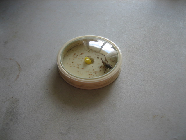 june 14,2012 005.jpg
