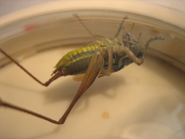 june 14,2012 026.jpg
