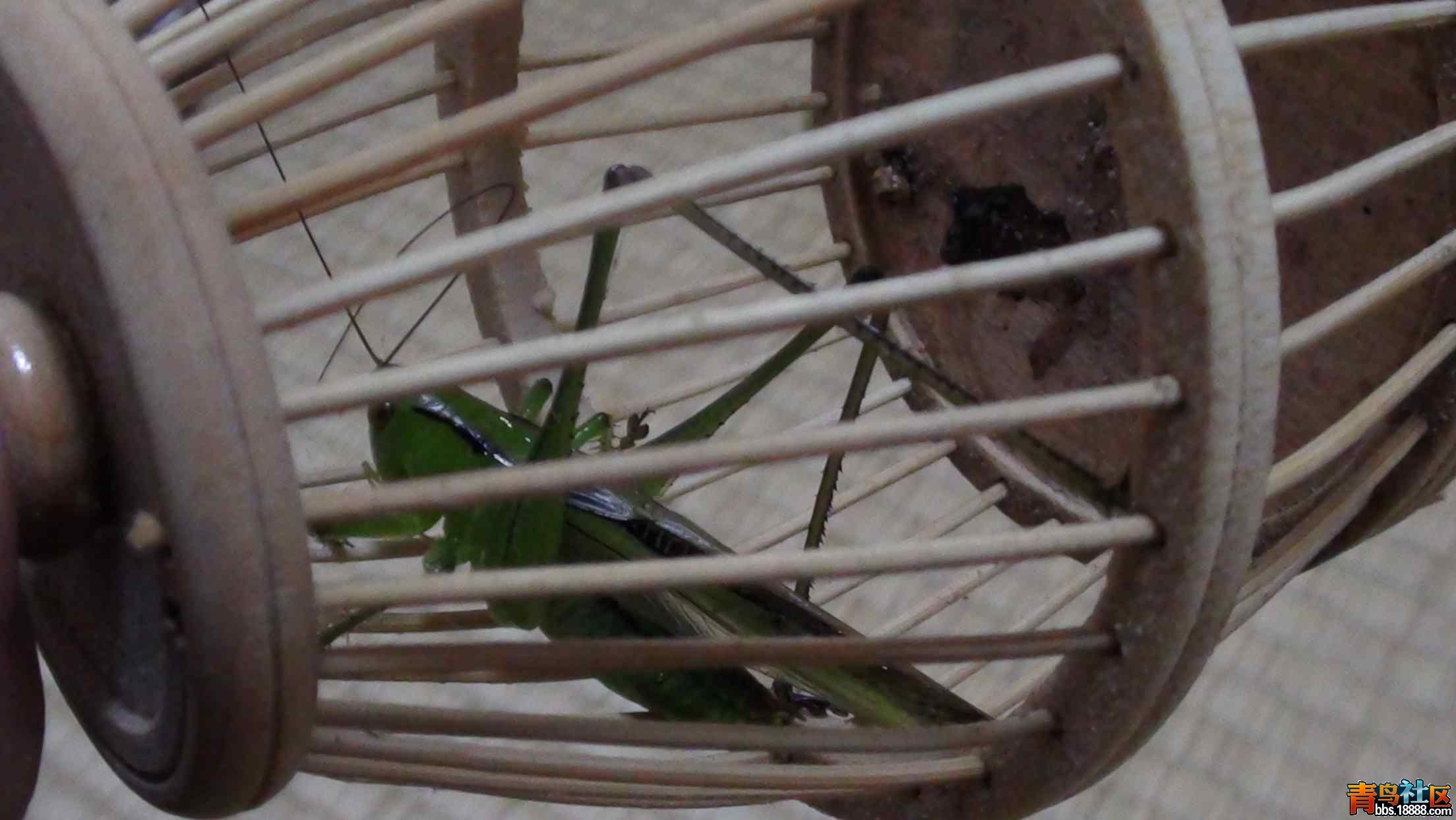 DSC004901.jpg