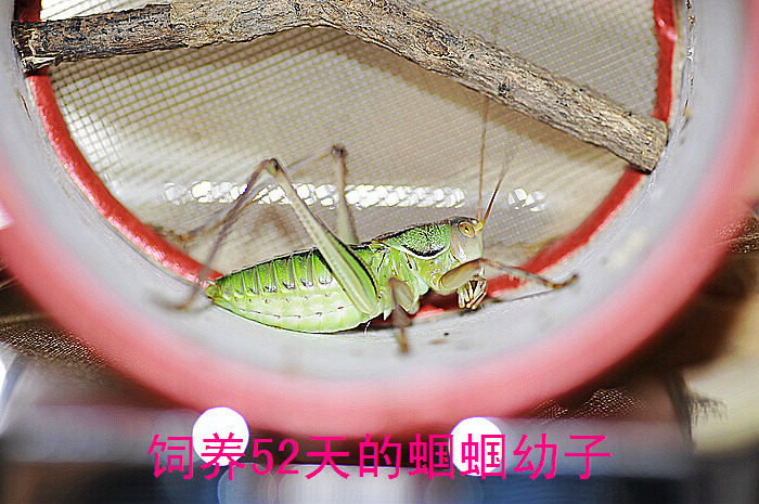 nEO_IMG_nEO_IMG_照片 023.jpg