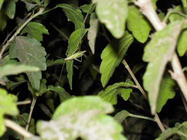 DSCN7103.JPG