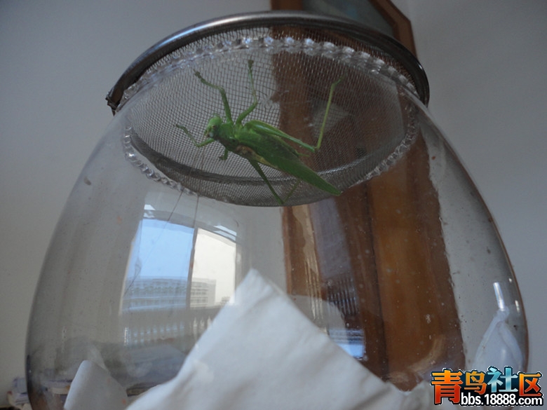 DSC01874_副本.jpg