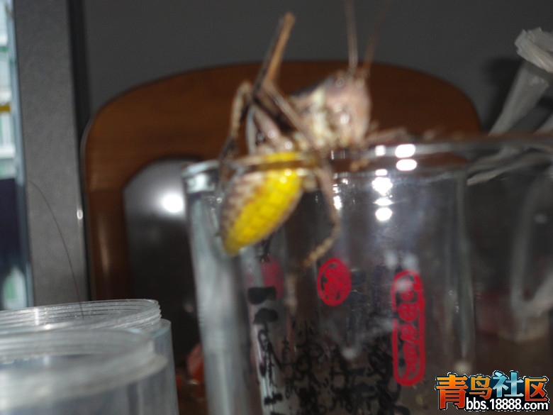 DSC01893_副本.jpg