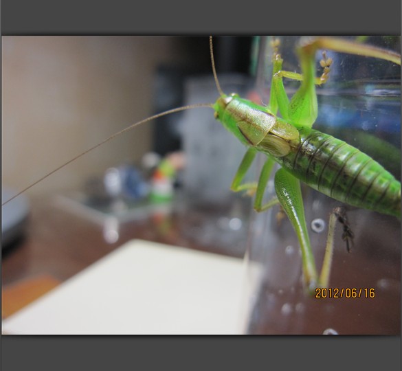 N`8Q}C)5}K[(0WWFEF4Z7F6.jpg
