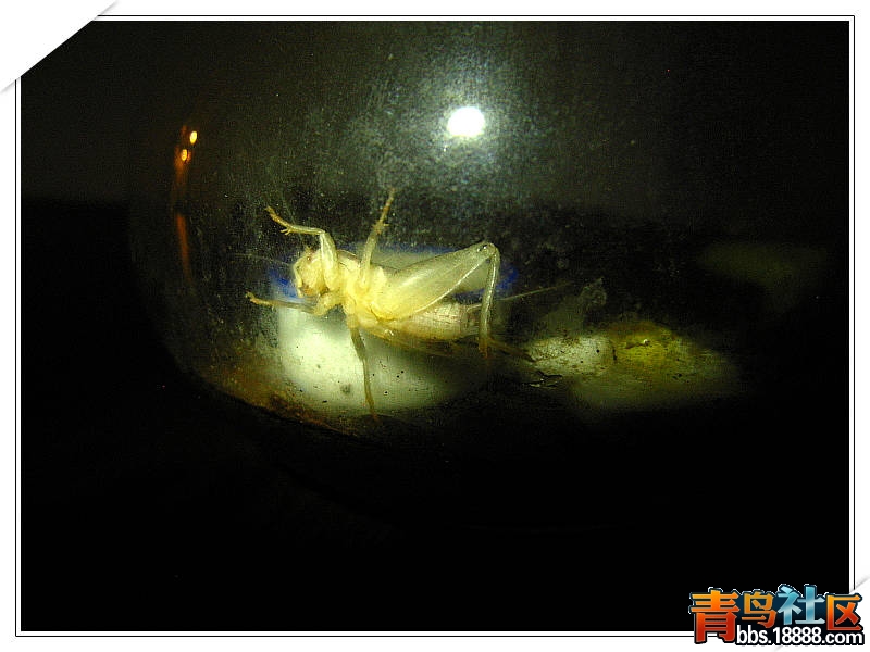 照片 020.jpg