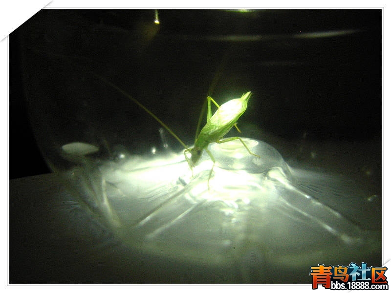 照片 004.jpg