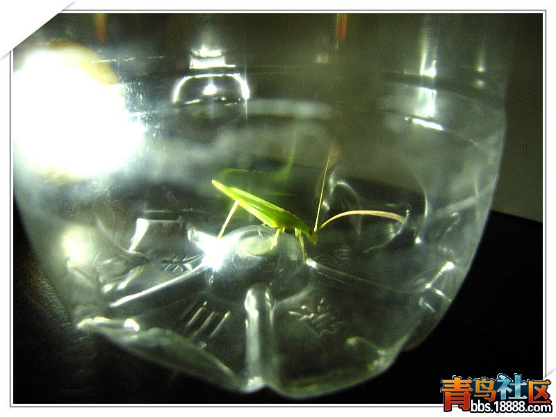 照片 007.jpg