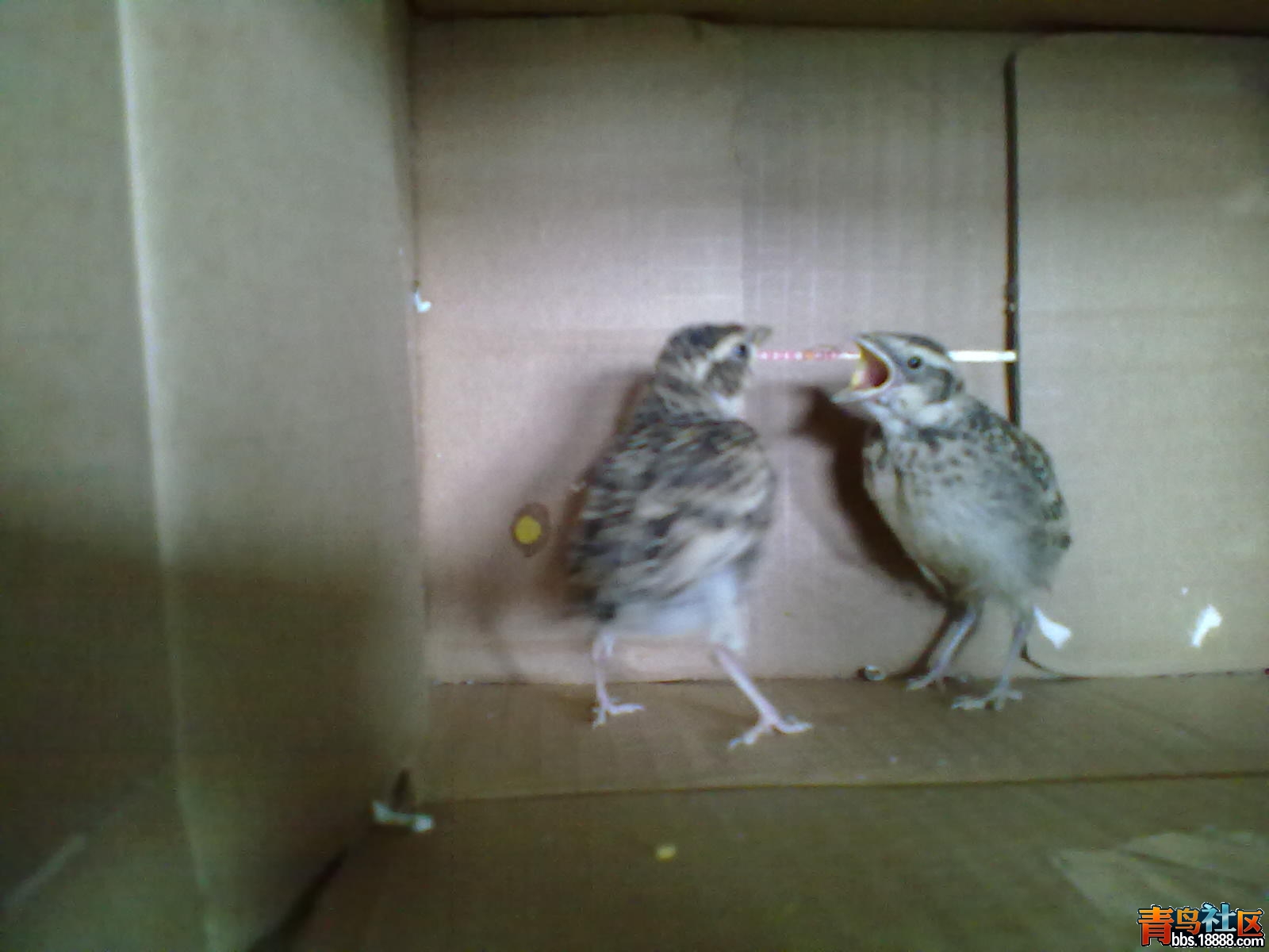 20120610054.jpg