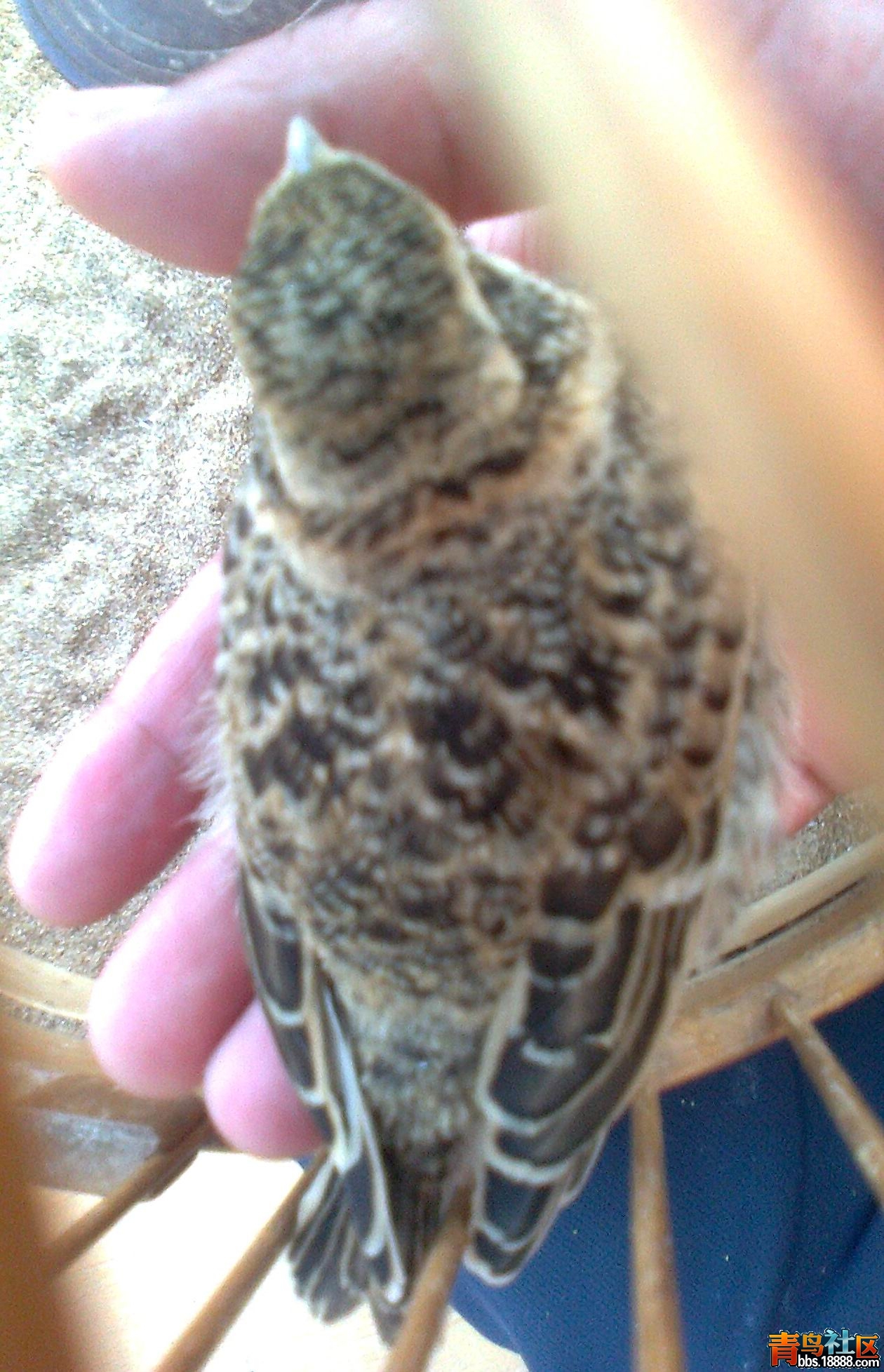 照片0349.jpg