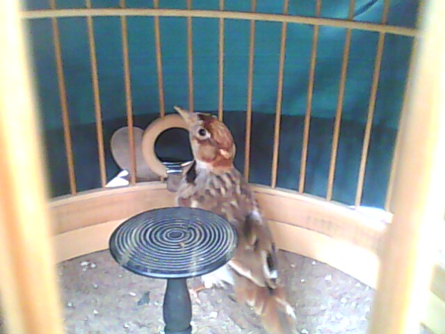 IMG0092B.jpg