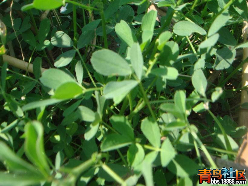 调整大小 DSC05201.JPG