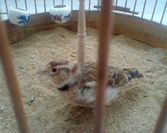 20120607182.jpg