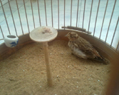 20120607197.jpg