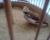 20120607181.jpg