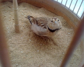 20120607184.jpg