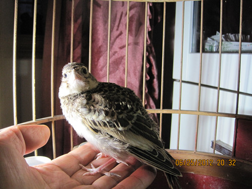 IMG_2746_副本.jpg