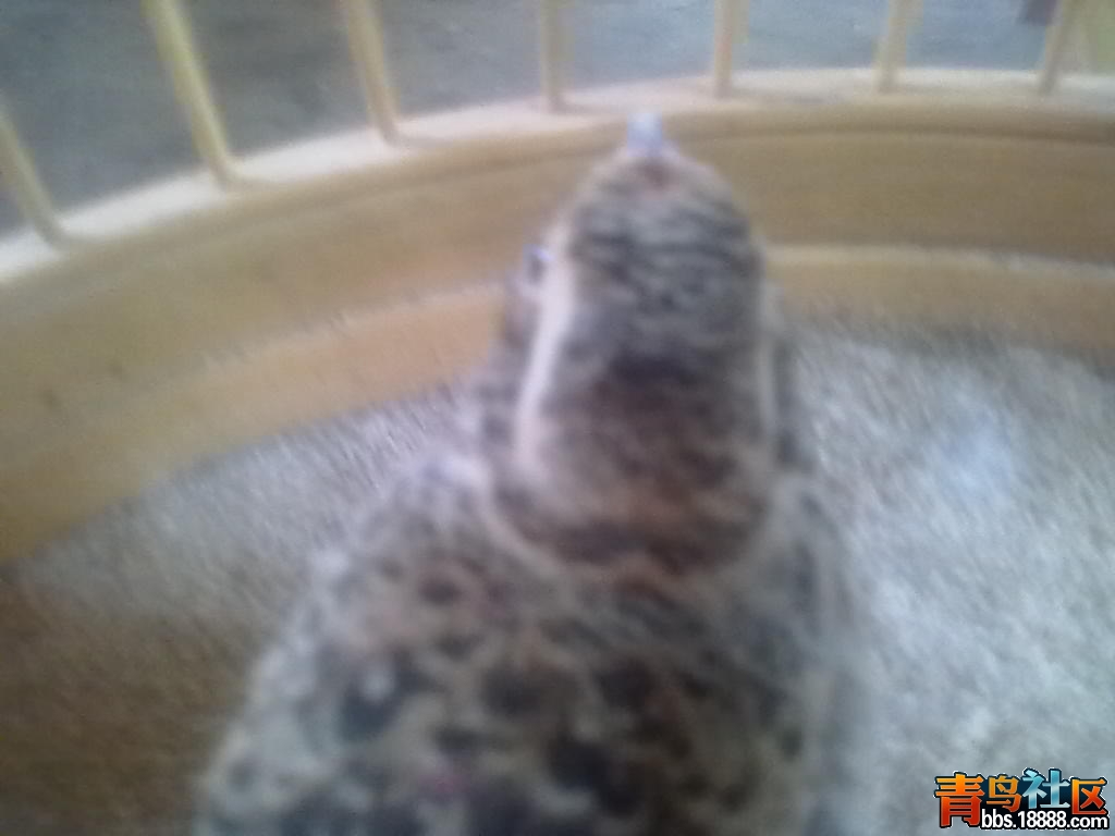 20120620036.jpg